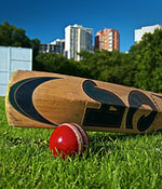 Cricket