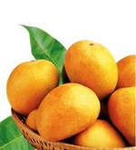 5kg Mango Basket