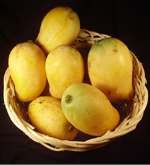 20kg Mango Basket